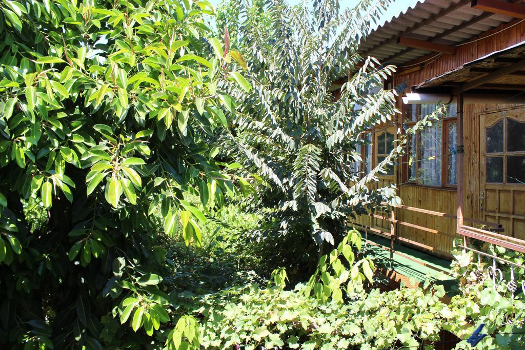 Lazer Pension Αττάλεια Εξωτερικό φωτογραφία